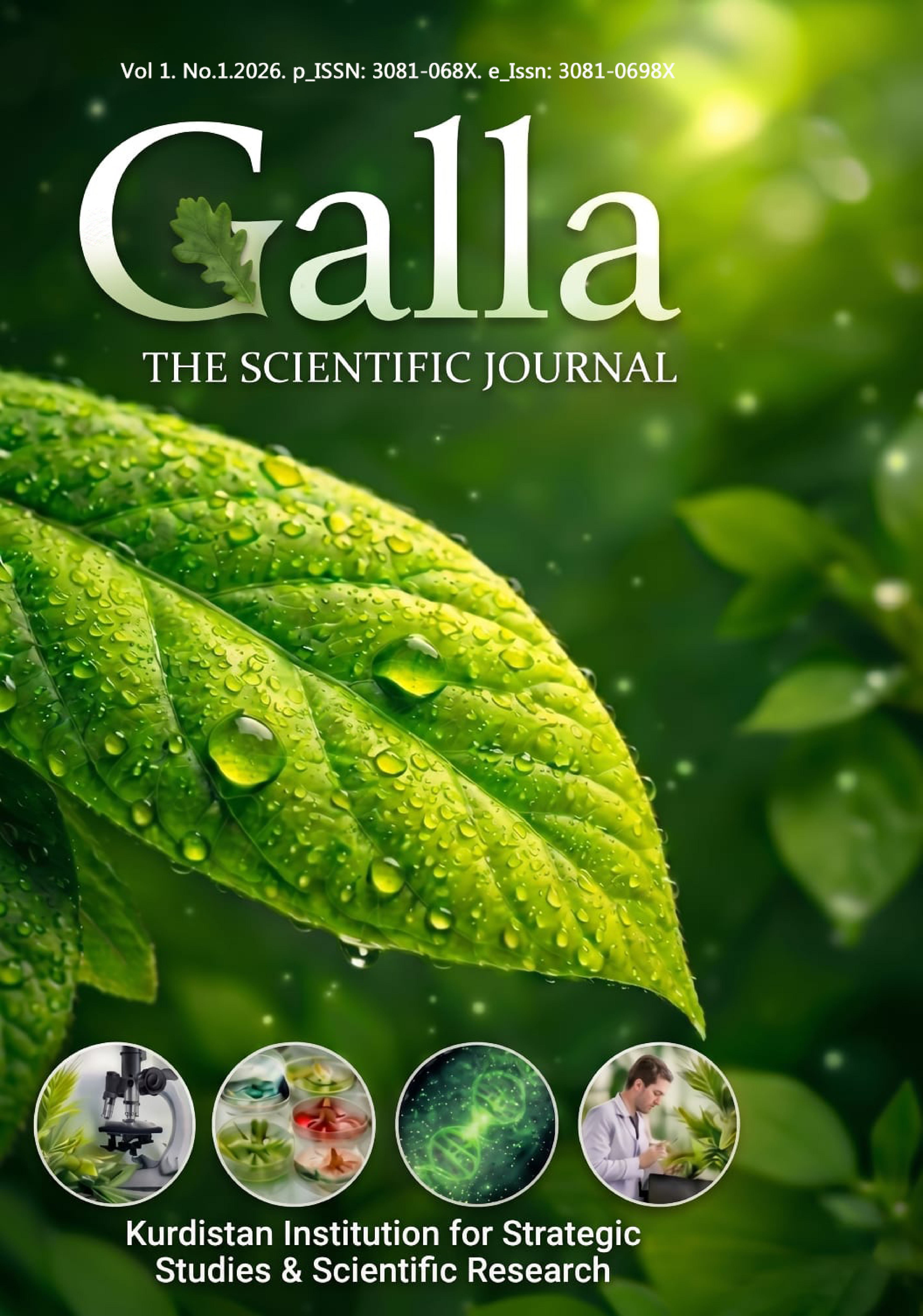 					View Vol. 1 No. 1 (2026): Issue 1
				